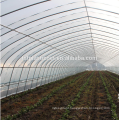 good quality and cheap agriculture Plastic Film For Greenhouse 5 years